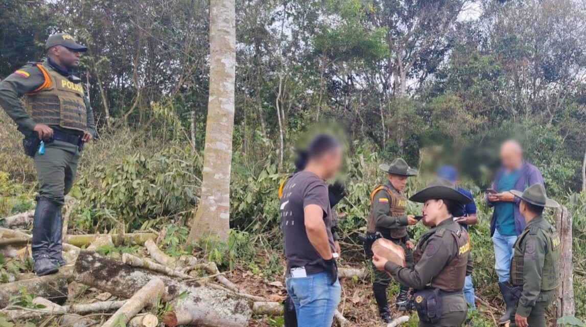 Tala ilícita en Popayán: capturan a hombre de 59 años en flagrancia