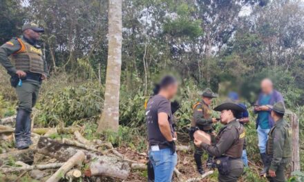 Tala ilícita en Popayán: capturan a hombre de 59 años en flagrancia