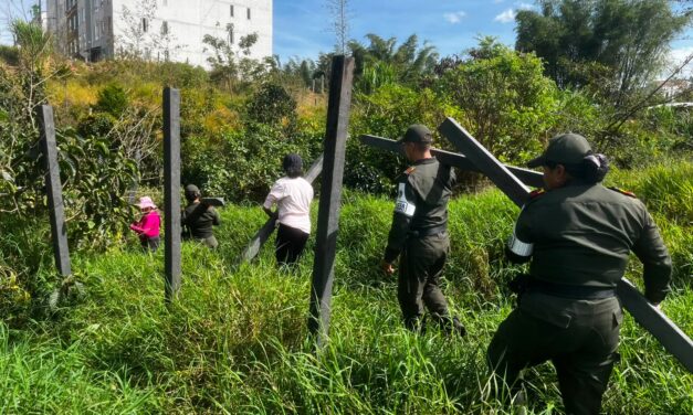 Humedal La Carola: jornada de recuperación ambiental en Popayán