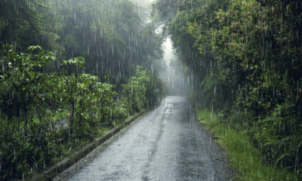 Lluvias en Colombia: Ideam alerta por fuertes precipitaciones
