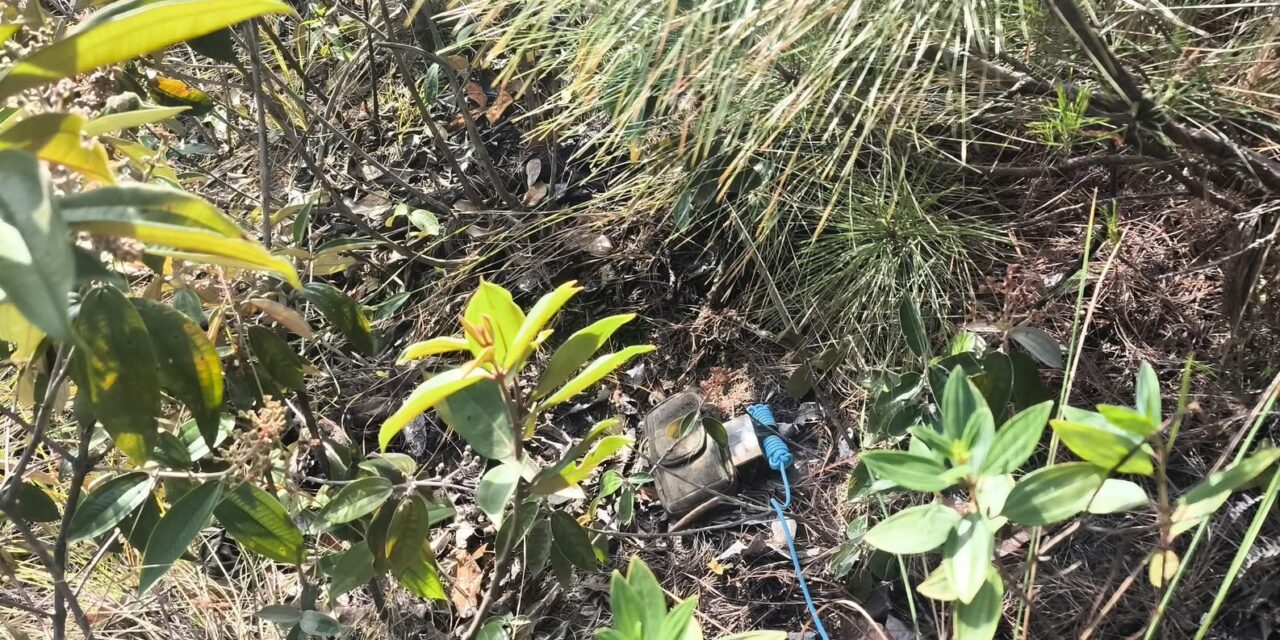 Dispositivo explosivo en La Toma, Suárez neutralizado