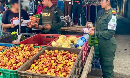 Prevención de violencias: Policía orienta en Popayán