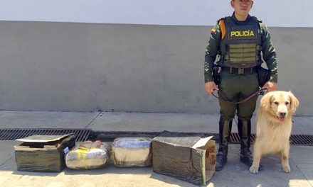 Marihuana hallada en encomienda en Popayán