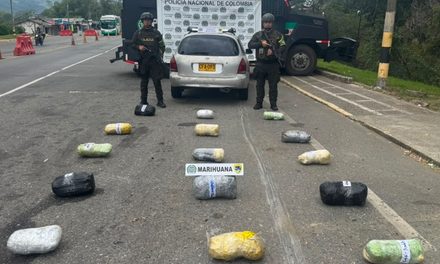 Incautan 17,6 kilos de marihuana en Piendamó