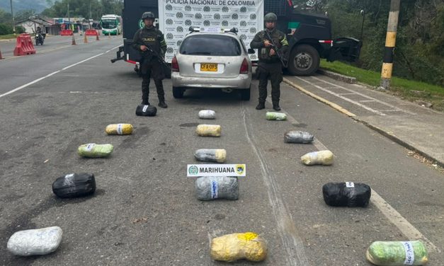 Incautan 17,6 kilos de marihuana en Piendamó
