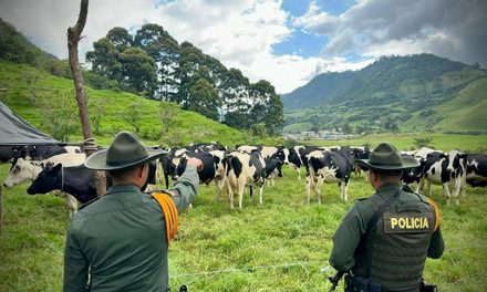 Día del Ganadero: Carabineros refuerzan prevención en Popayán