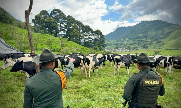 Día del Ganadero: Carabineros refuerzan prevención en Popayán