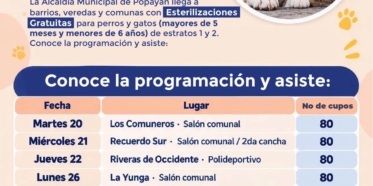 Jornadas gratuitas de esterilización para perros y gatos en Popayán: requisitos