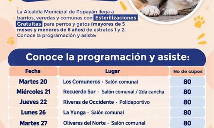 Jornadas gratuitas de esterilización para perros y gatos en Popayán: requisitos