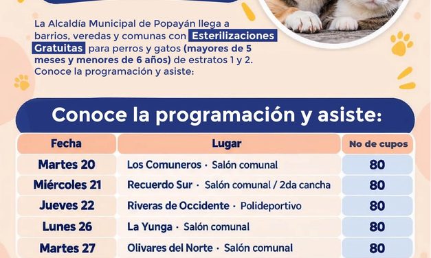 Jornadas gratuitas de esterilización para perros y gatos en Popayán: requisitos
