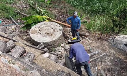 Obras biomecánicas en Poblazón mitigan el riesgo por deslizamientos